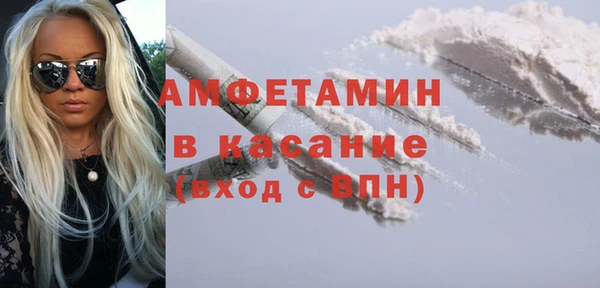 мет Алексин