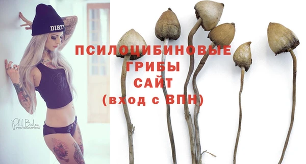 прущий лед Абаза