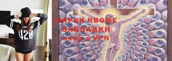 мет Алексин