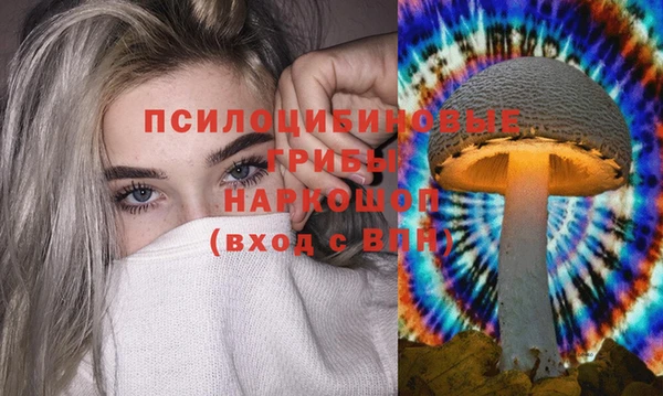 прущий лед Абаза