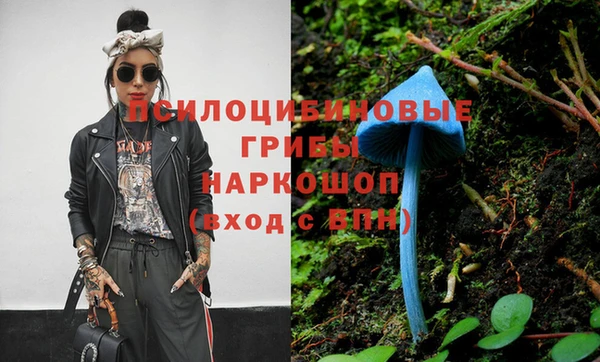 ешки Абинск