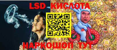 a pvp Славгород
