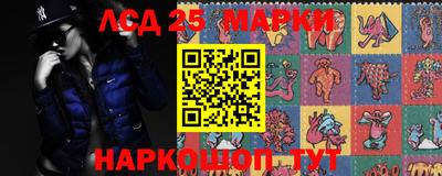 a pvp Славгород
