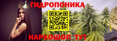 ГАЛЛЮЦИНОГЕННЫЕ ГРИБЫ Сланцы