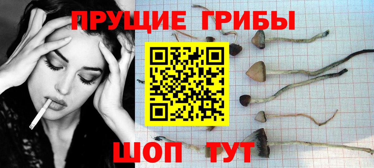 Ростов-на-Дону  Псилоцибиновые грибы мухоморы  Вход с VPN 